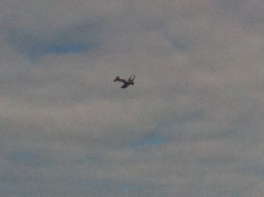 MW_03-03-12_10