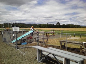 DM_06-27-13_3