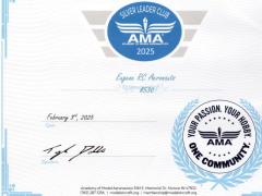 2025 AMA Silver Leader Club Award